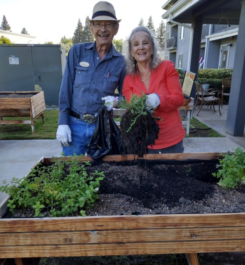 Solstice at Clovis residents